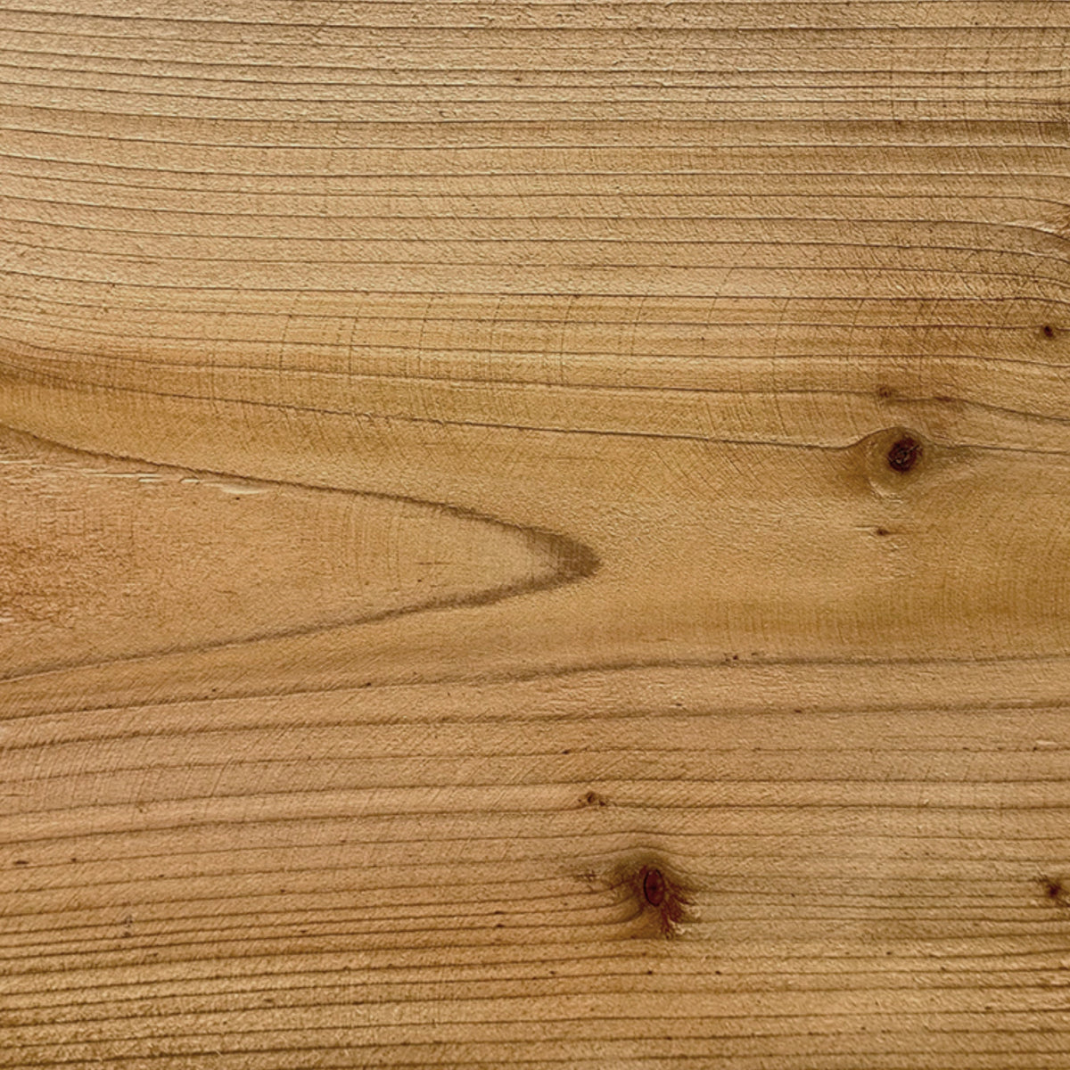 Oberfläche der Holzbank mit Ästen und Maserung im Detail
