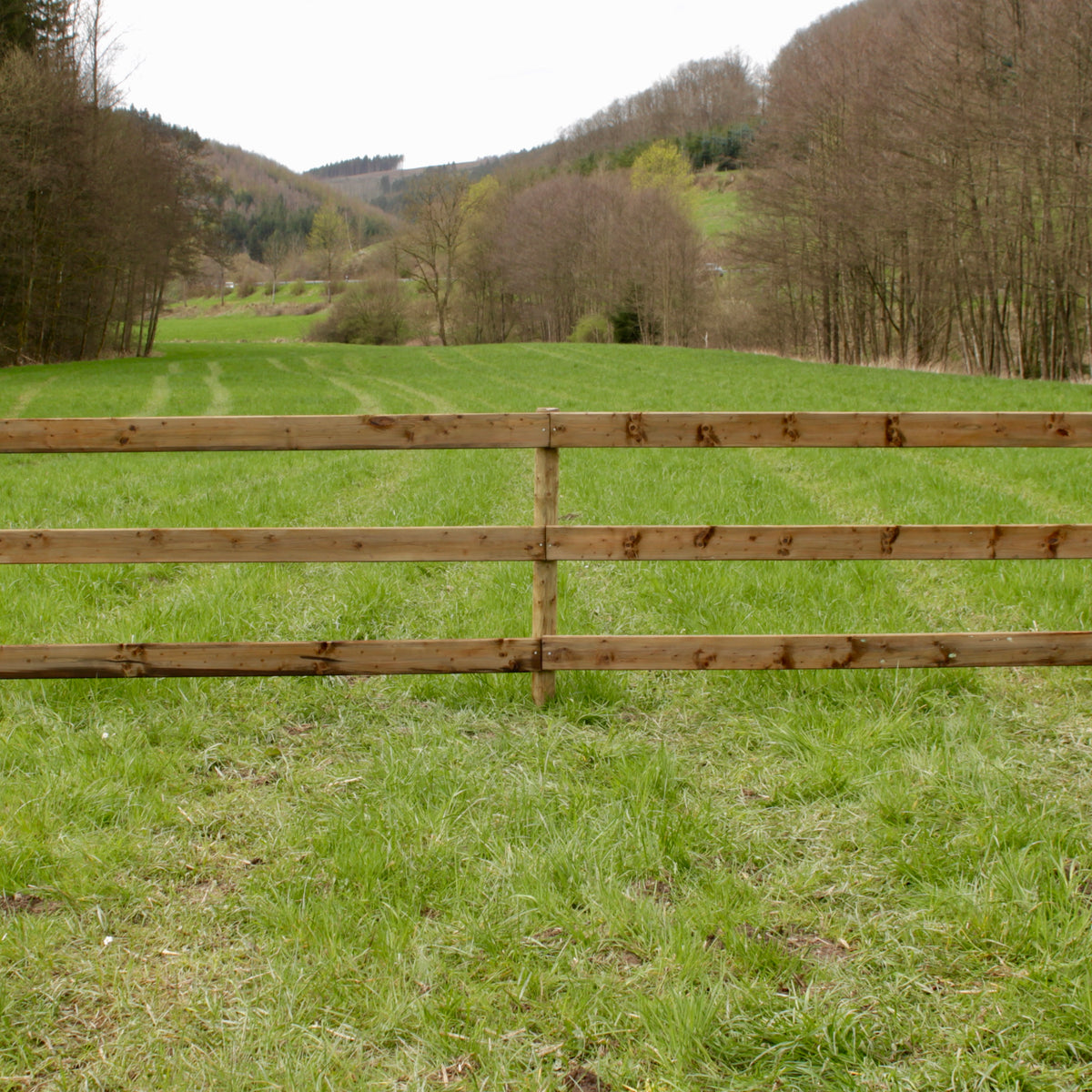Plankenzaun aus Holz als Begrenzung einer Pferdekoppel vor Wald und Hügeln