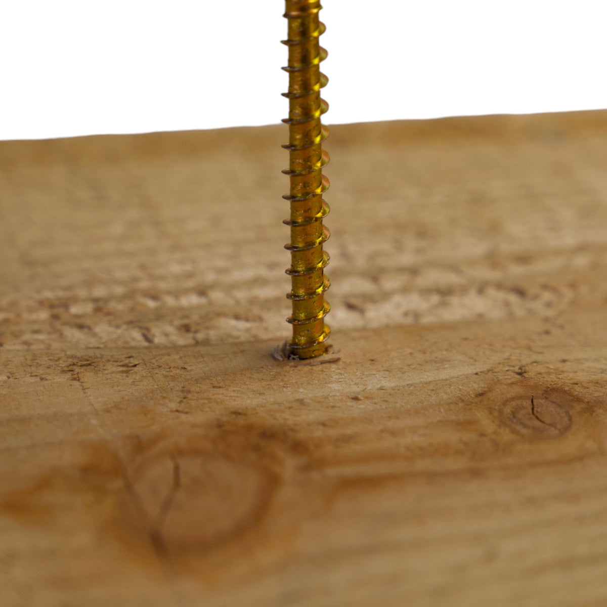 Gewinde einer Zaunschraube SCH beim Eindrehen in Holz im Detail
