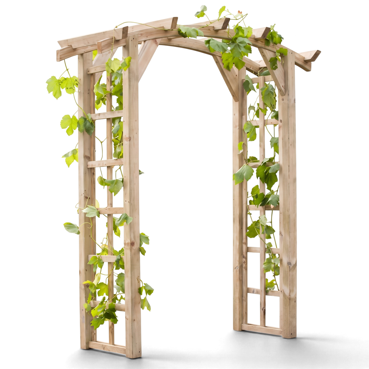 Rosenbogen Elspe aus Holz mit grünen Kletterpflanzen an den Rankgittern, Freisteller