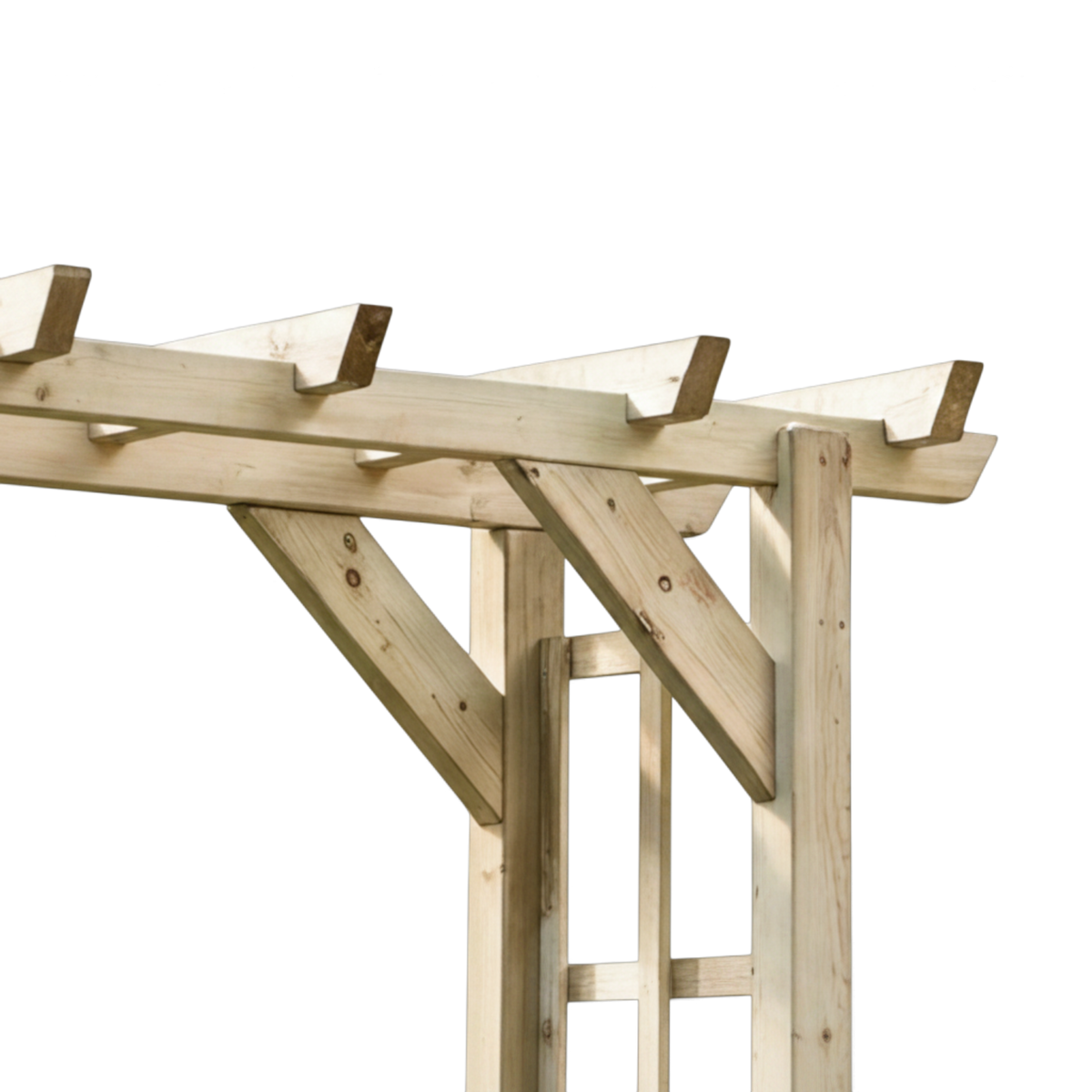 Dachkonstruktion der Holz Pergola Marpe mit Querbalken und Kopfbändern schräg von unten
