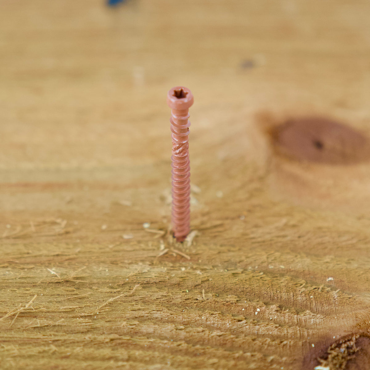 Braun beschichtete Terrassenschraube schräg von oben in einer Holzdiele