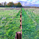 Blick entlang des Weidezauns mit runden Holzpfählen quer durch eine Wiese