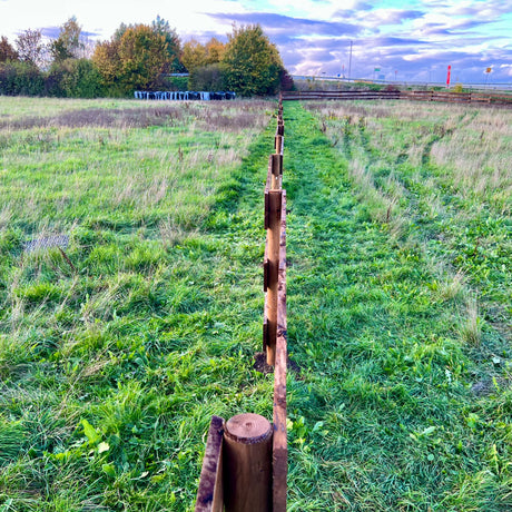 Blick entlang des Weidezauns mit runden Holzpfählen quer durch eine Wiese