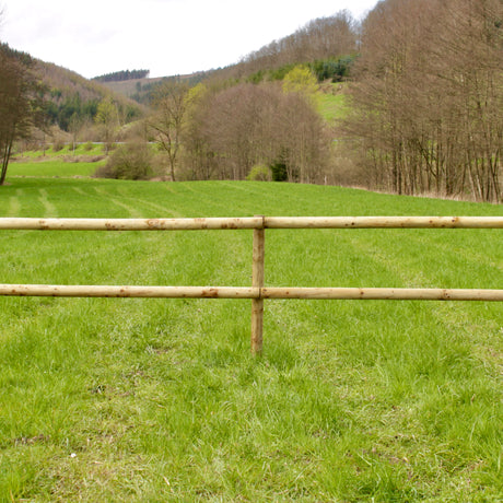 Weidezaun Pferdezaun Komplettset aus kesseldruckimprägnierten Rundpfählen mit zwei Holzriegeln auf grüner Pferdeweide
