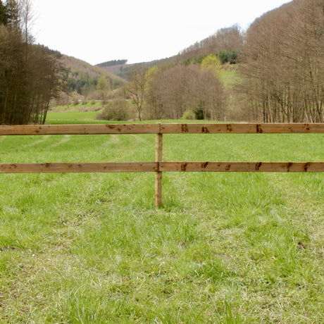 Weidezaun Plankenzaun Komplettset kesseldruckimprägniert mit runden Pfählen und zwei Planken auf einer Weide