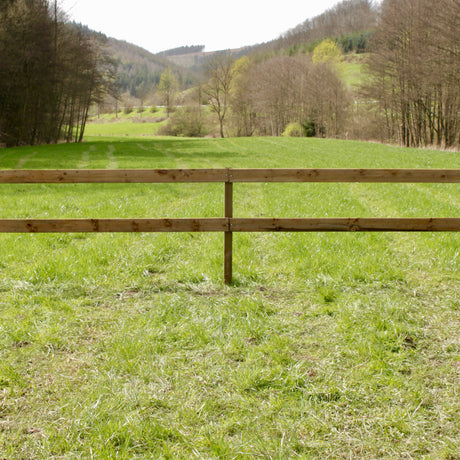 Weidezaun Plankenzaun Komplettset aus kesseldruckimprägnierten Vierkantpfählen mit zwei Planken auf Pferdeweide