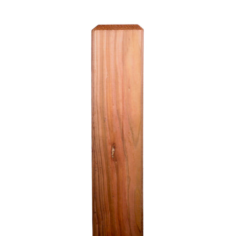 Geölter Vierkant Holzpfosten für den Weidenzaun, Freisteller