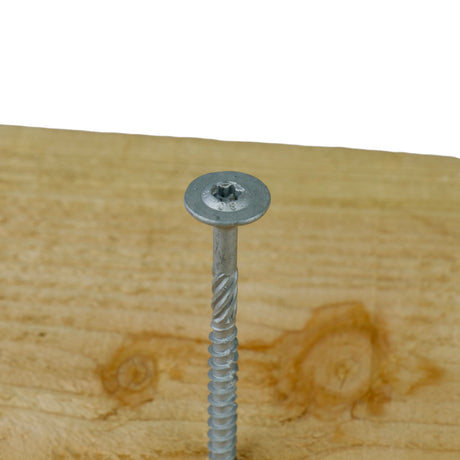 Tellerkopf mit Torx Antrieb und Gewinde der TLL Schraube vor Holzbrett, Detail