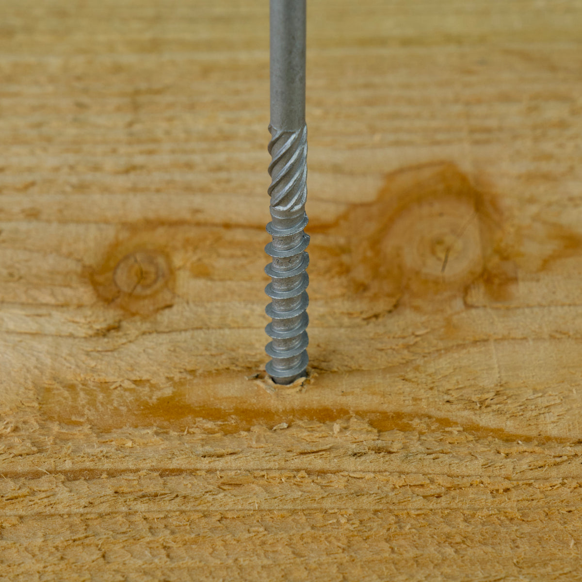 Gewinde einer verzinkten Senkkopfschraube beim Eindrehen in Holz im Detail