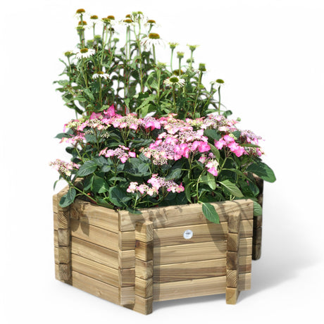 Pflanzkübel Blumenkübel Eder kesseldruckimprägniert, sechseckiger Holzkübel aus Nadelholz mit blühenden Blumen