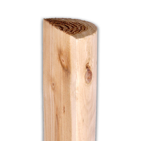 Gefräster Halbriegel aus naturbelassenem Holz von der flachen Seite mit Ast, Freisteller