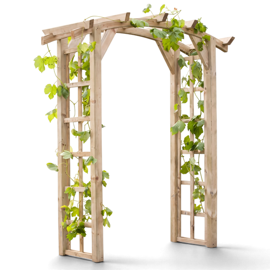 Rosenbogen Elspe aus Holz mit grünen Kletterpflanzen an den Rankgittern, Freisteller
