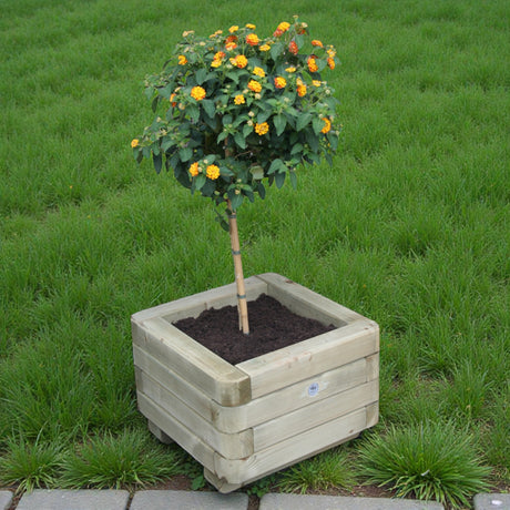 Quadratischer Holz Blumenkübel Ruhr mit blühendem Hochstämmchen auf Rasen