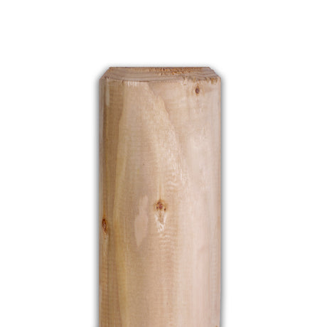 Naturbelassene Halbpalisade von der flachen Seite mit kleinem Ast, Freisteller
