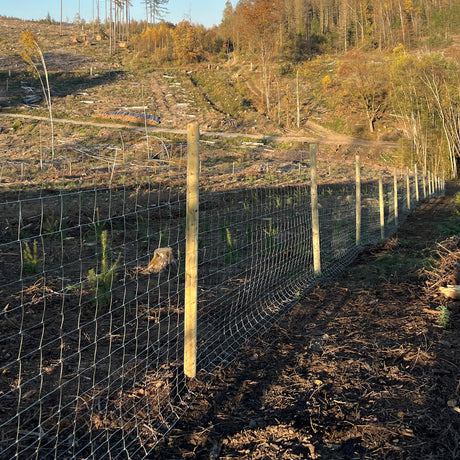 Wildzaun Forstzaun mit Drahtgeflecht an Holzpfählen als Schutz einer Aufforstungsfläche