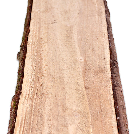 Rangerzaunbohle naturbelassen von oben mit Rinde an beiden Kanten