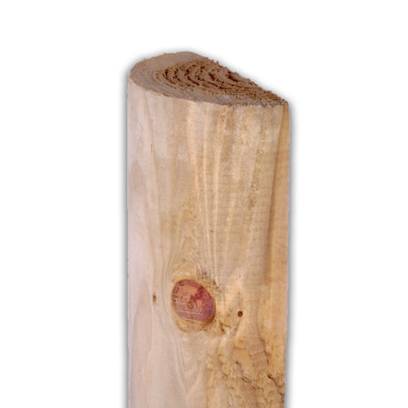 Zaunriegel halbrund naturbelassen stehend mit flacher Seite und Ast, Freisteller